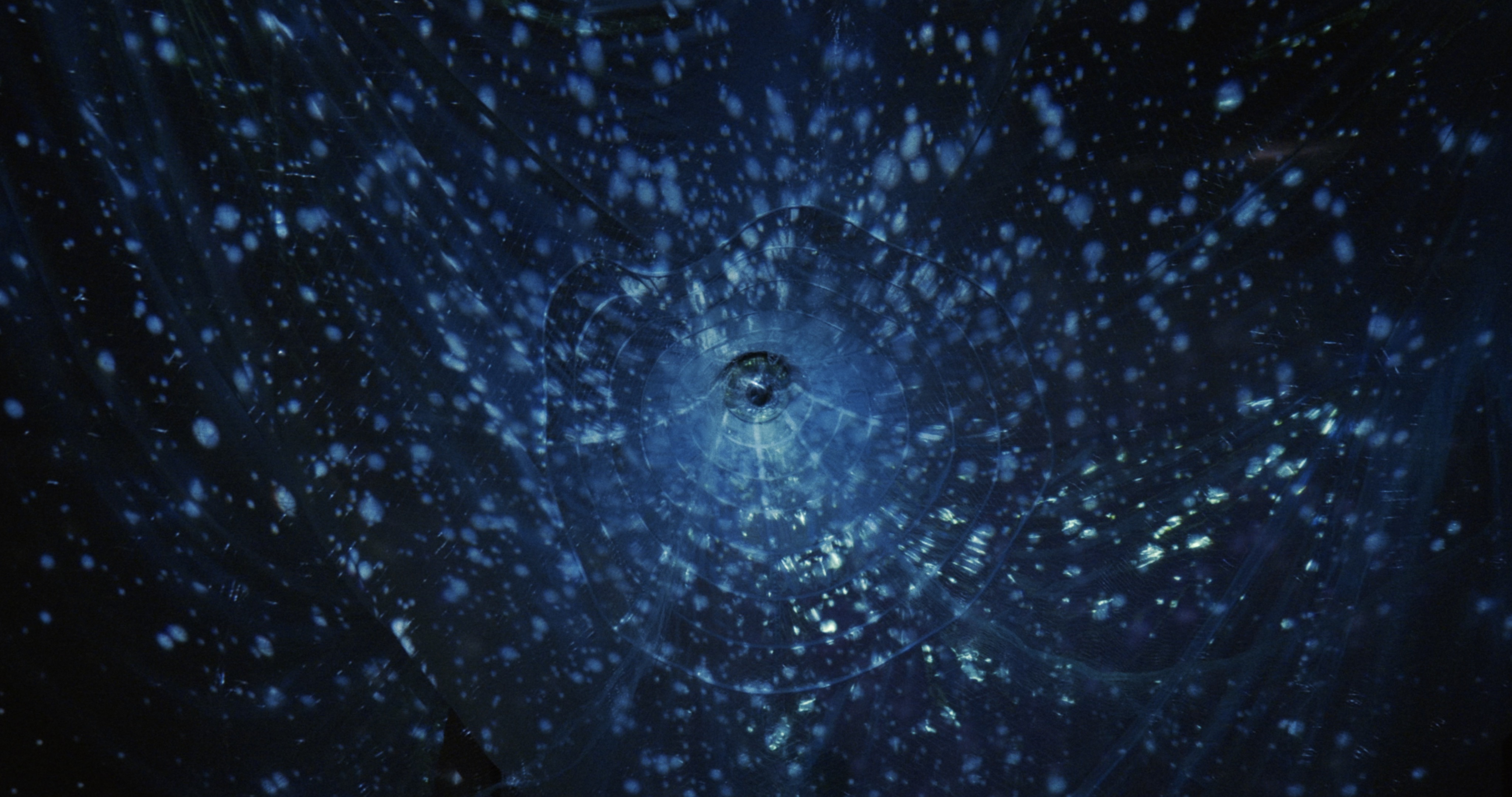 Maelström !, filets fantômes — Ghost Net et pollution marine, Alessia Sanna