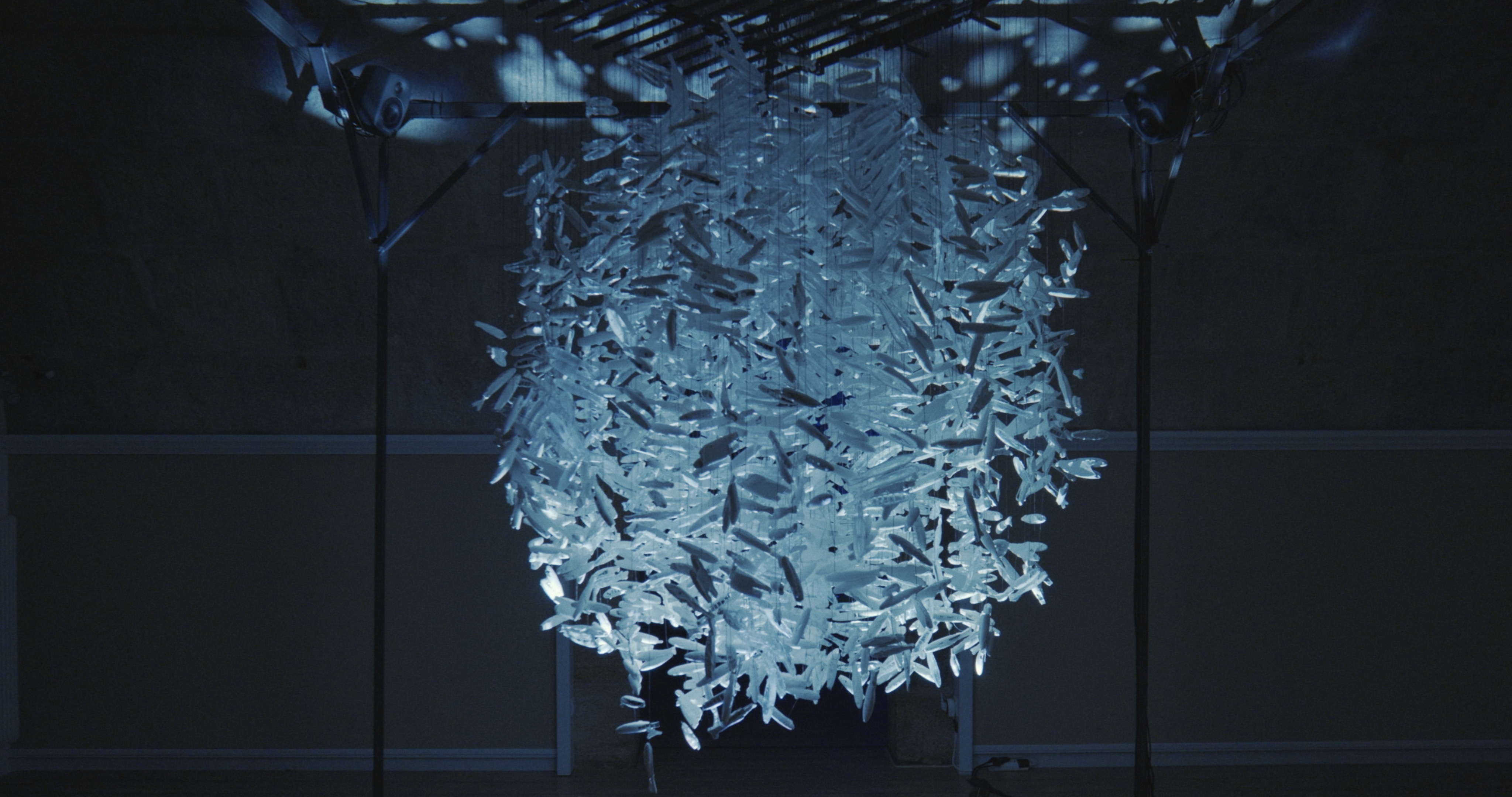 Maelström !, Phishing — retweets et données, installation Alessia Sanna