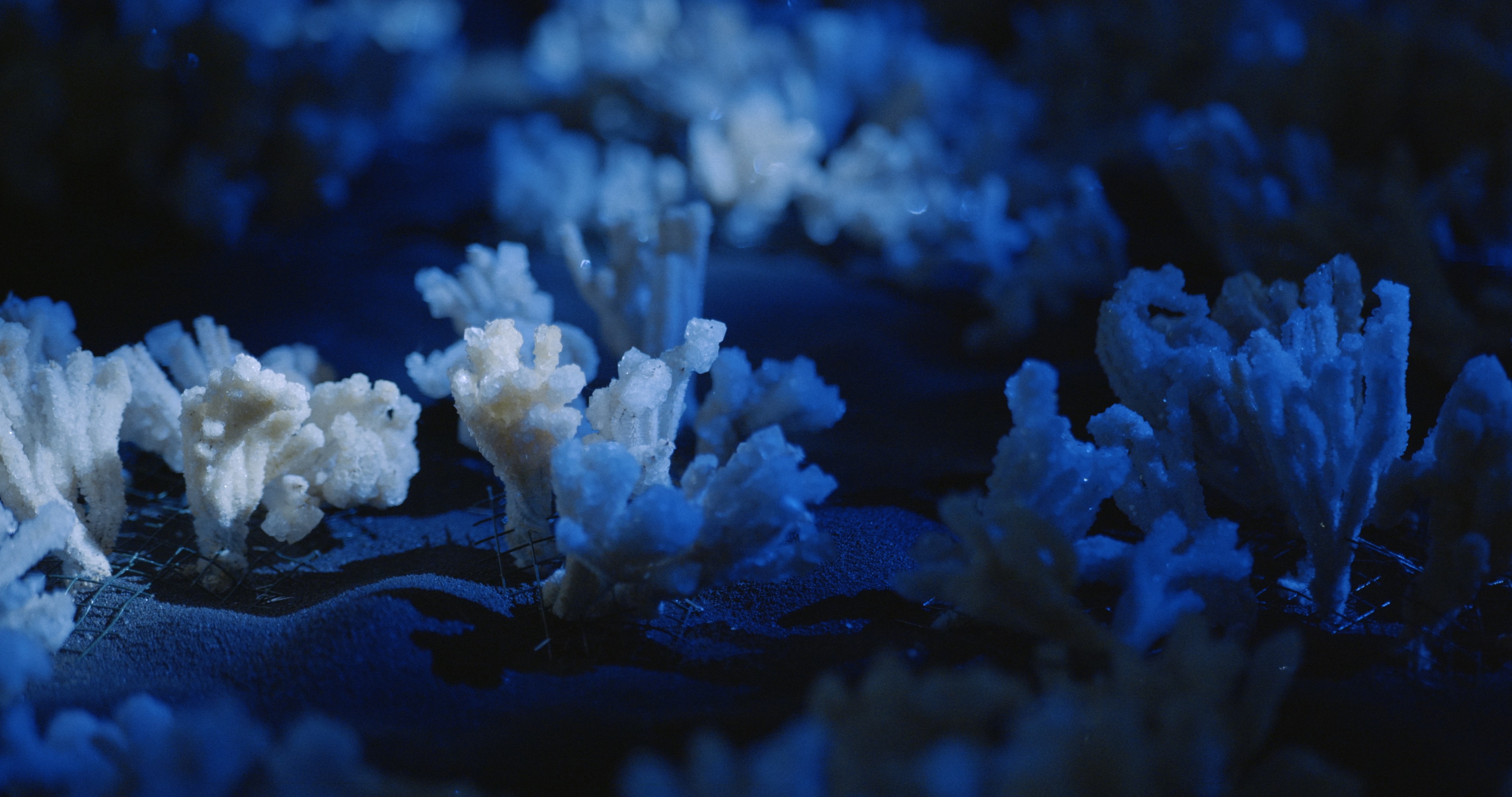 Maelström, installation — Alessia Sanna