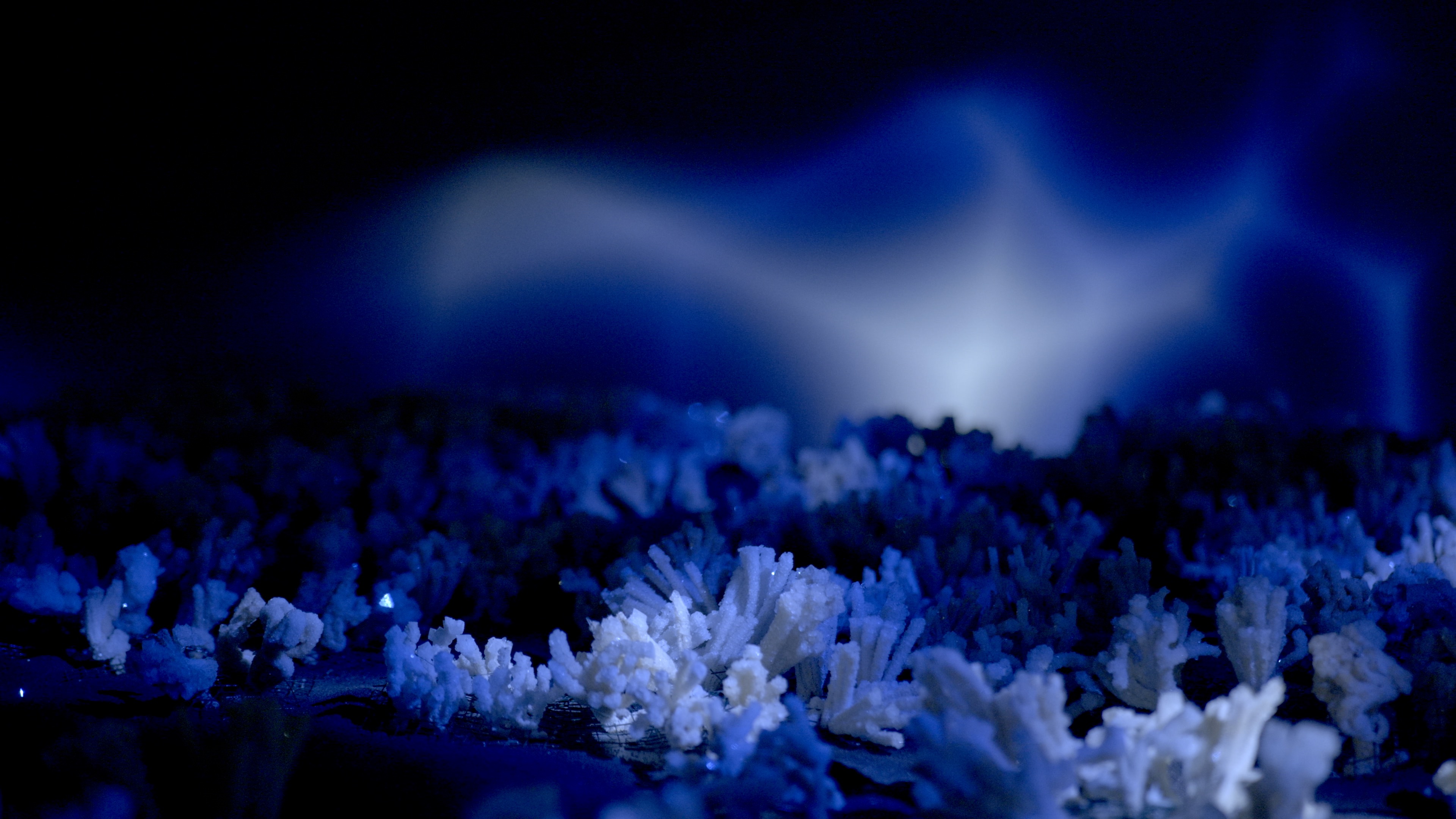 Maelström, installation — Alessia Sanna